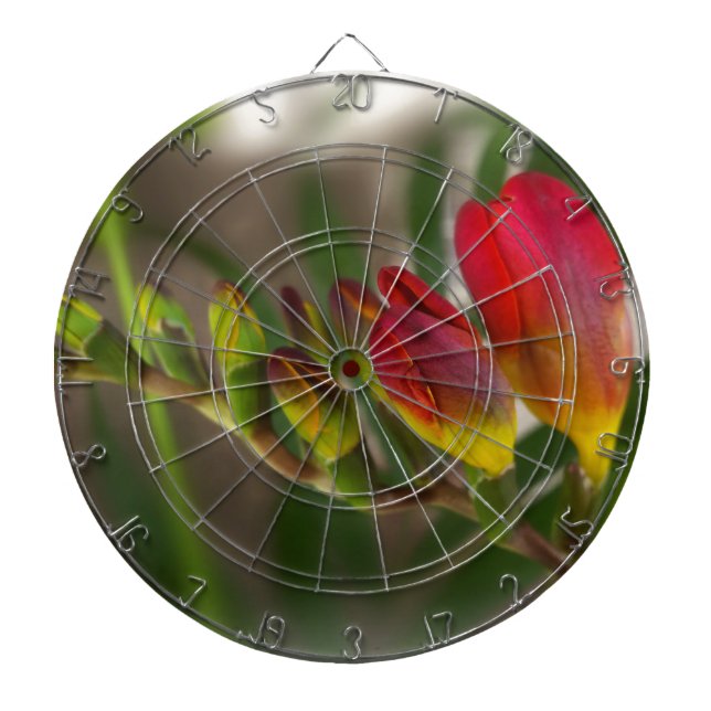 dark red freesia dartboard (Front)