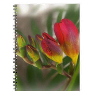 dark red freesia notebook