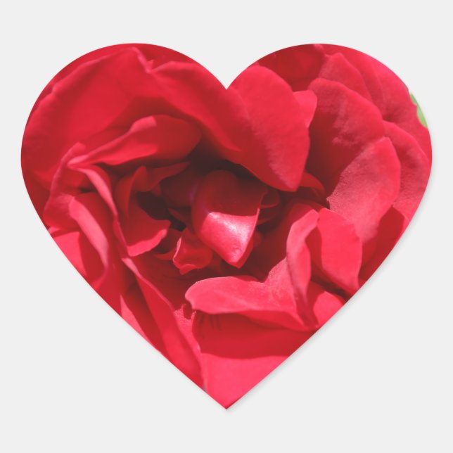 Dark red Rose Bardou Job Heart Sticker (Front)