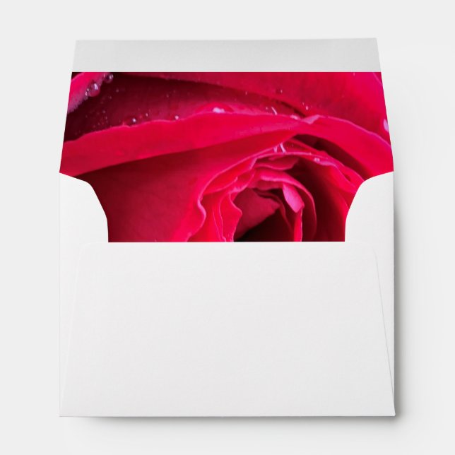 Dark red rose envelope (Back (Bottom))