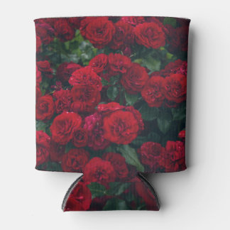 Dark Red Roses Dewdrops Can Cooler
