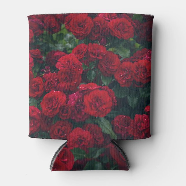 Dark Red Roses Dewdrops Can Cooler (Front)