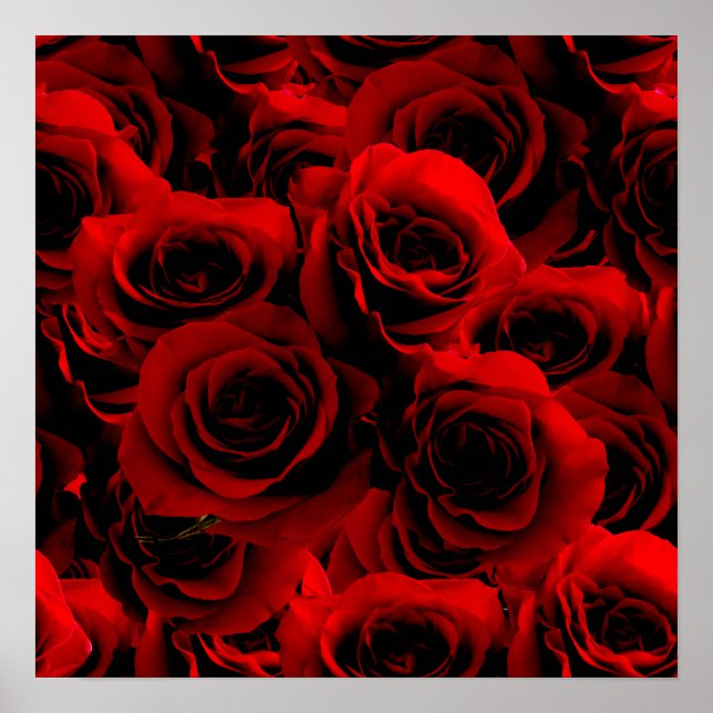 Dark Red Roses For you Poster (Front)
