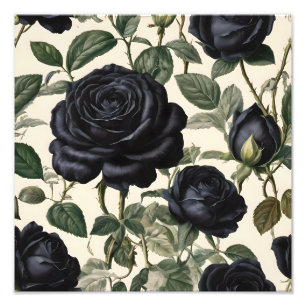 **"Dark Romance: Black Vintage Provincial Roses"** Photo Print