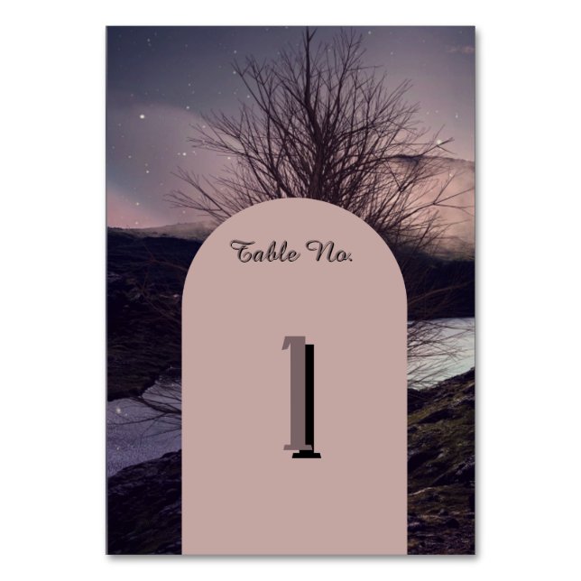Dark Romantic Gothic Castle  Table Number (Front)