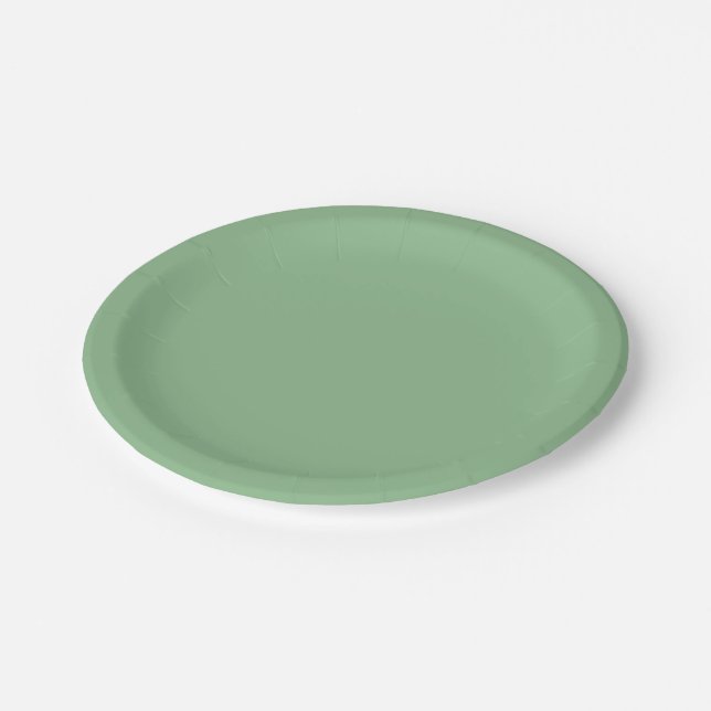 Dark Sea Green Solid Colour  Paper Plate (Angled)