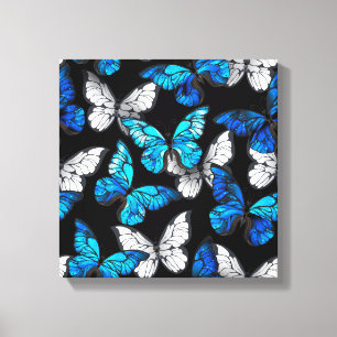 Dark Seamless Pattern with Blue Butterflies Morpho Canvas Print