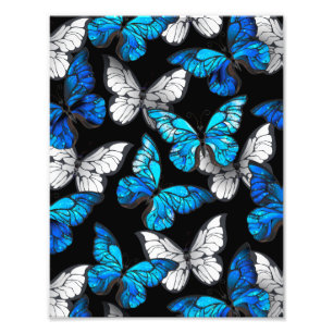 Dark Seamless Pattern with Blue Butterflies Morpho Photo Print