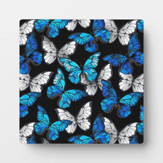 Dark Seamless Pattern with Blue Butterflies Morpho Plaque (Front)