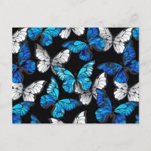 Dark Seamless Pattern with Blue Butterflies Morpho Postcard