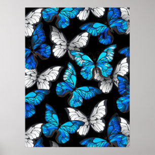 Dark Seamless Pattern with Blue Butterflies Morpho Poster