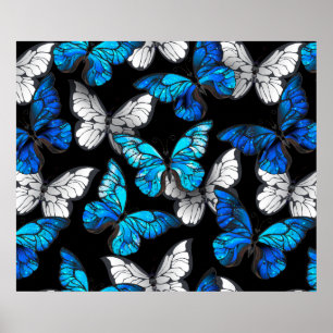 Dark Seamless Pattern with Blue Butterflies Morpho Poster