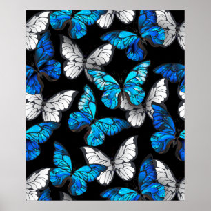 Dark Seamless Pattern with Blue Butterflies Morpho Poster