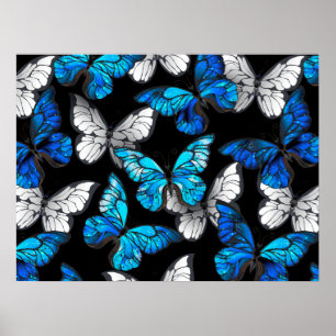 Dark Seamless Pattern with Blue Butterflies Morpho Poster