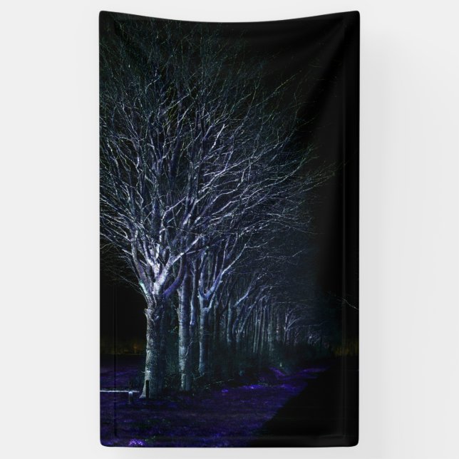 Dark Side 10 bnrcnm Banner (Vertical)