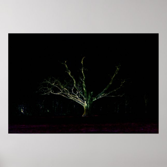 Dark Side 1 wapcn Poster (Front)