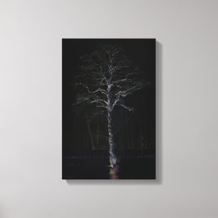 Dark Side 3 11x16.5 (27.5x41.25cm) waccna Canvas Print