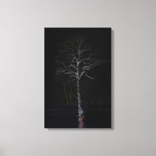 Dark Side 3 16x24 (40x60cm) waccna Canvas Print