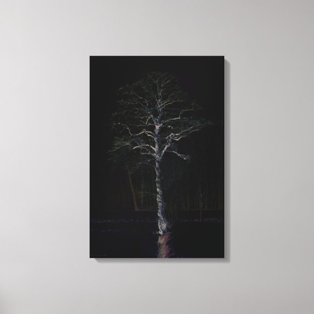 Dark Side 3 16x24 (40x60cm) waccnm Canvas Print (Front)