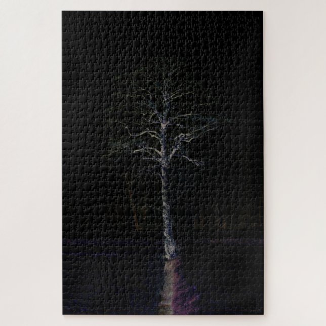 Dark Side 3 20x30 1014pc jpm Jigsaw Puzzle (Vertical)