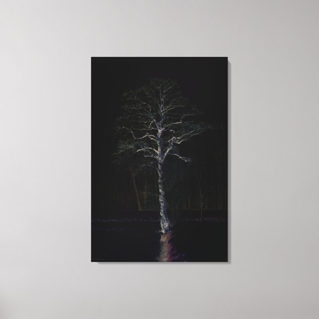 Dark Side 3 24x36 (60x90cm) waca Canvas Print (Front)