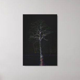 Dark Side 3 24x36 (60x90cm) waccnm Canvas Print