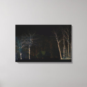 Dark Side 4 24x16 (60x40cm) waccna Canvas Print