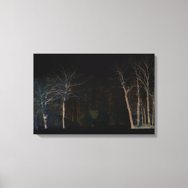 Dark Side 4 24x16 (60x40cm) waccna Canvas Print (Front)