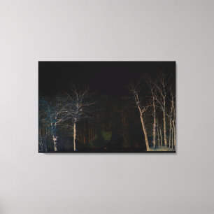 Dark Side 4 36x24 (90x60cm) waccna Canvas Print