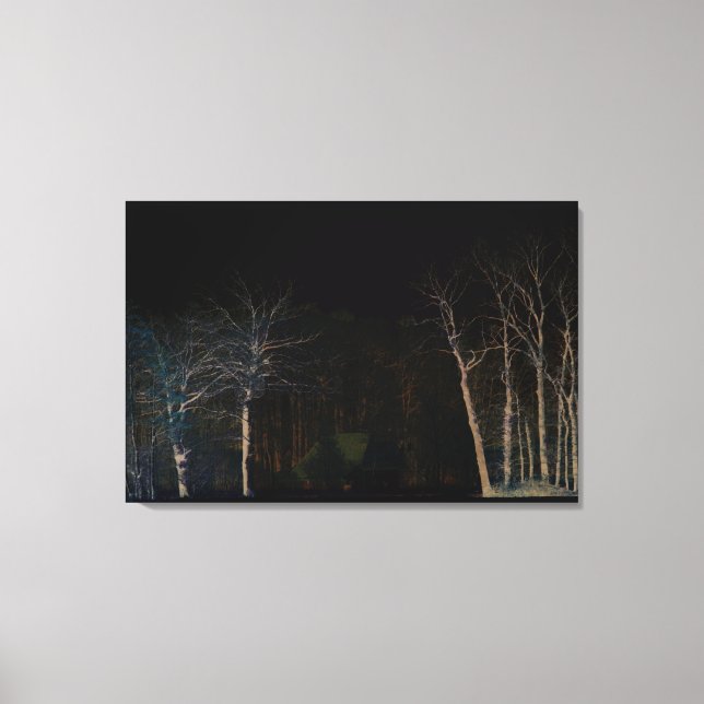 Dark Side 4 36x24 (90x60cm) waccnm Canvas Print (Front)