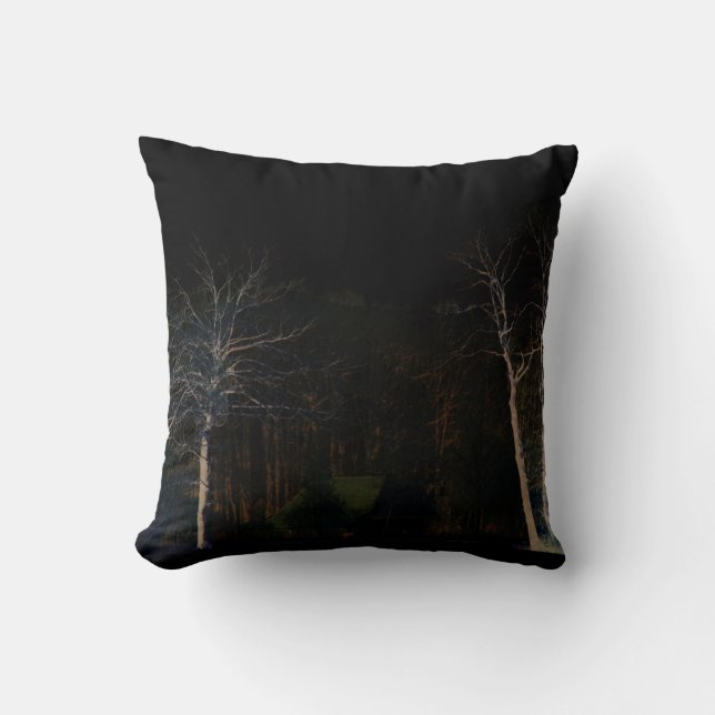 Dark Side 4 tpcnm Cushion (Front)