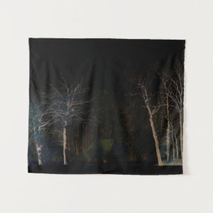 Dark Side 4 wtcna Tapestry