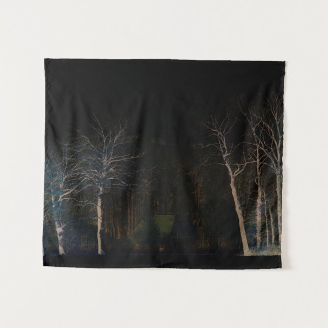 Dark Side 4 wtcna Tapestry (Front (Horizontal))