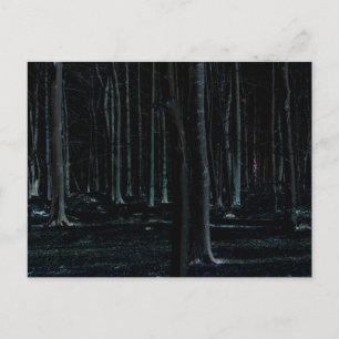 Dark Side 6 pccnm Postcard