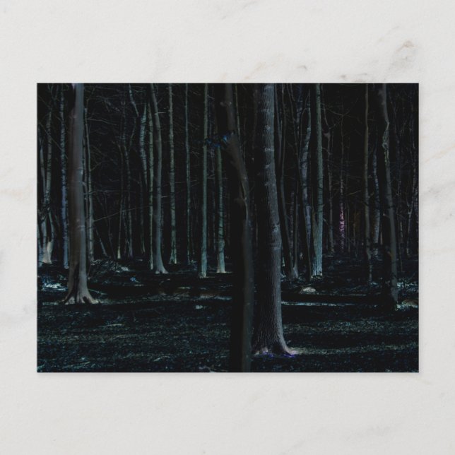 Dark Side 6 pccnm Postcard (Front)