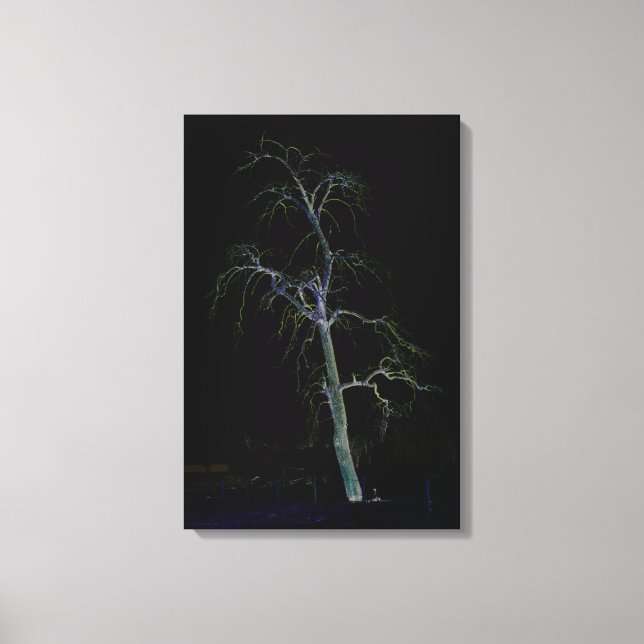 Dark Side 8 16x24 (40x60cm) waccna Canvas Print (Front)