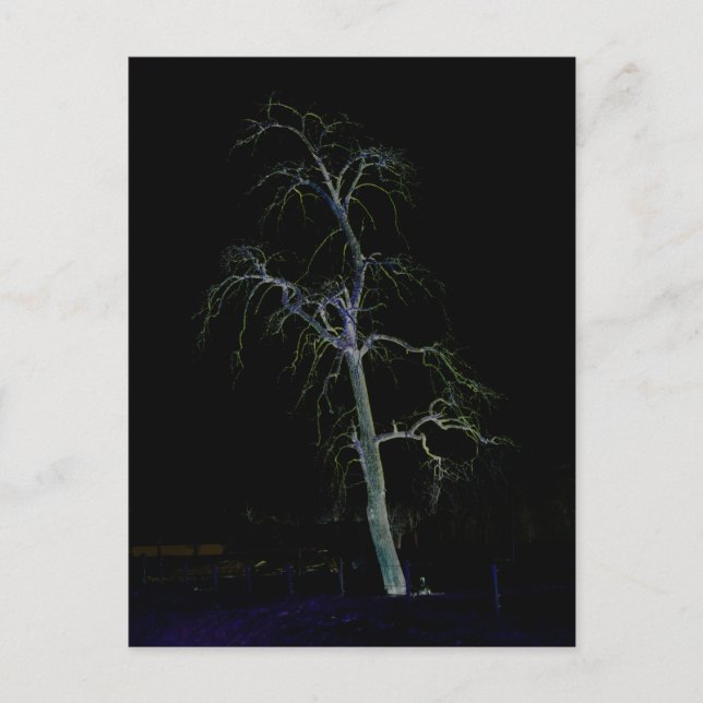 Dark Side 8 pccnm Postcard (Front)