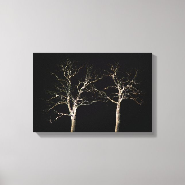 Dark Side 9 16.50x11 (41.25x27.5cm) waccna Canvas Print (Front)