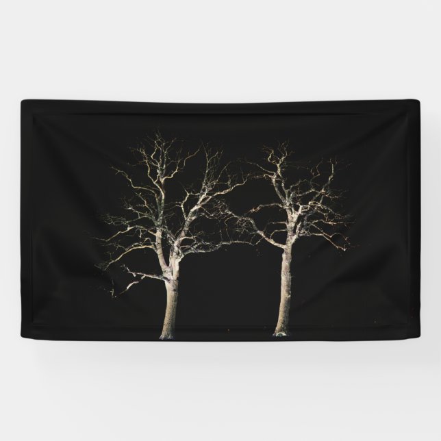 Dark Side 9 bnrcnm Banner (Horizontal)