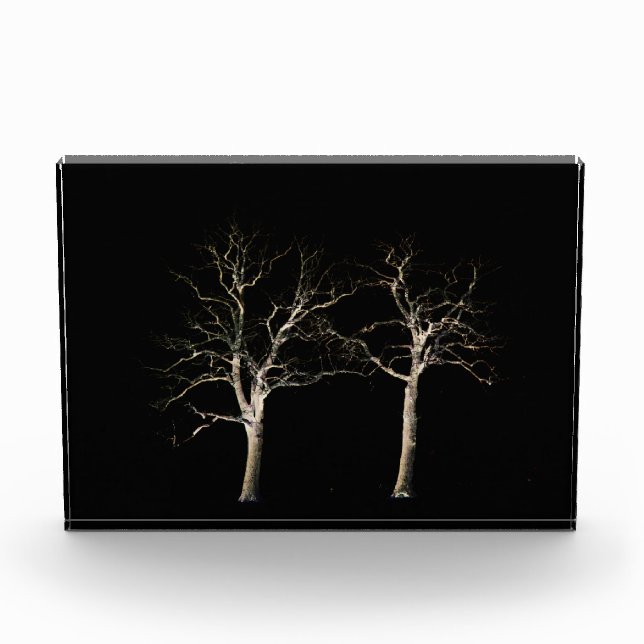 Dark Side 9 pbcna Photo Block (Front)