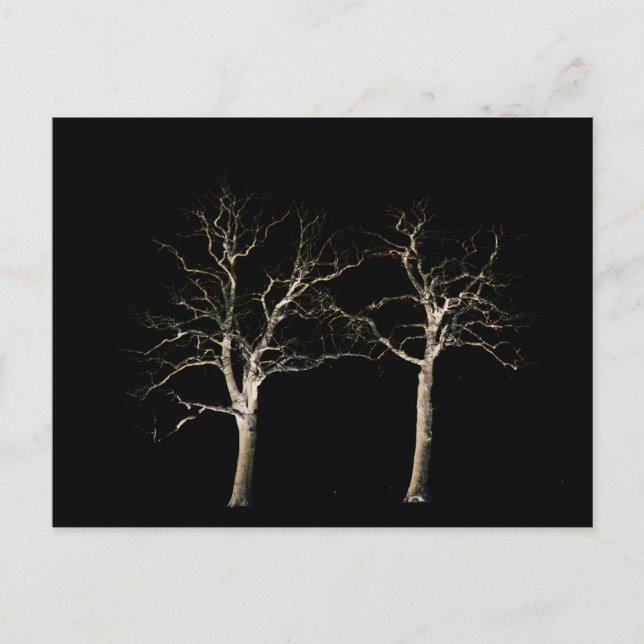 Dark Side 9 pccnm Postcard (Front)