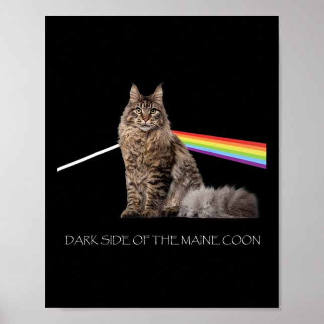 Dark Side Of The Maine Coon Cat Lover  Poster (Front)