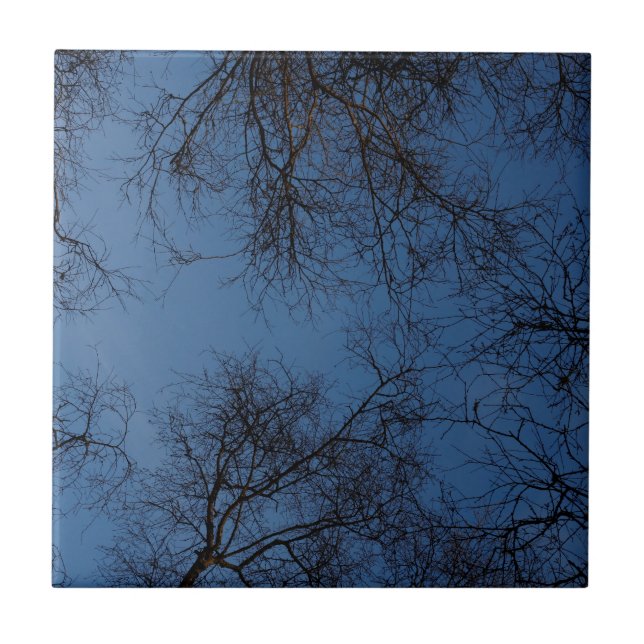 Dark silhouetted trees tile (Front)