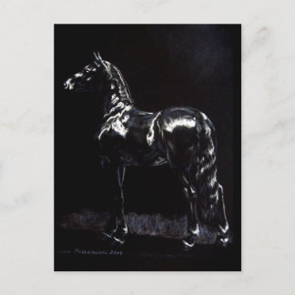 Dark Silver Postcard