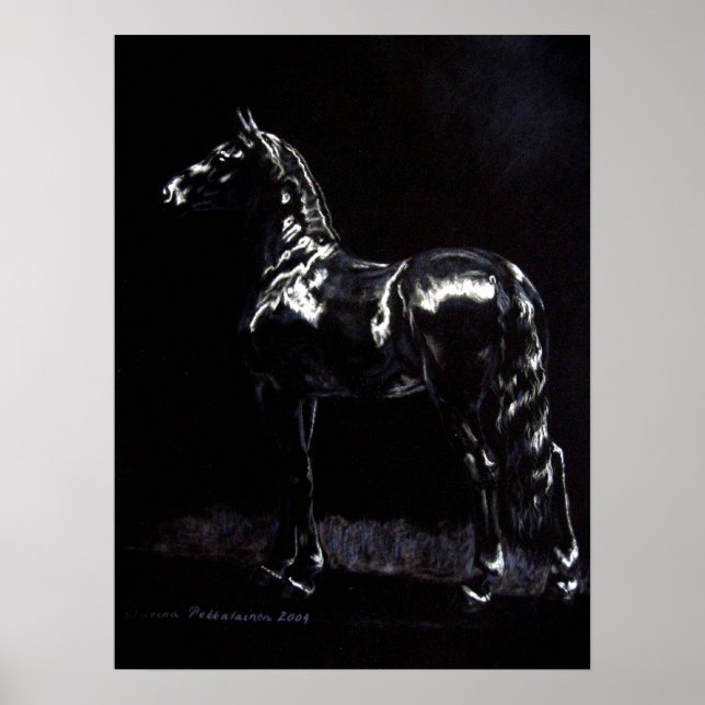 Dark Silver Poster (Front)