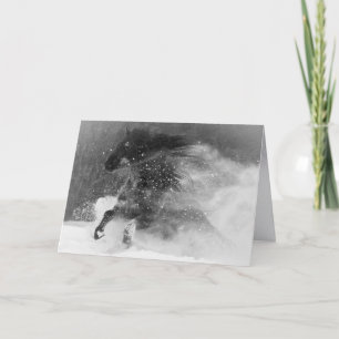 Dark Snow Horse - Horse Greeting Card