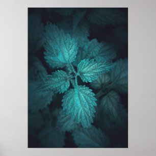 Dark stinging nettle nature photo poster