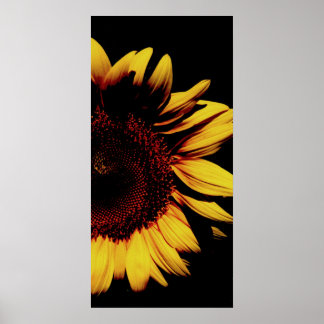 Dark Sun Poster