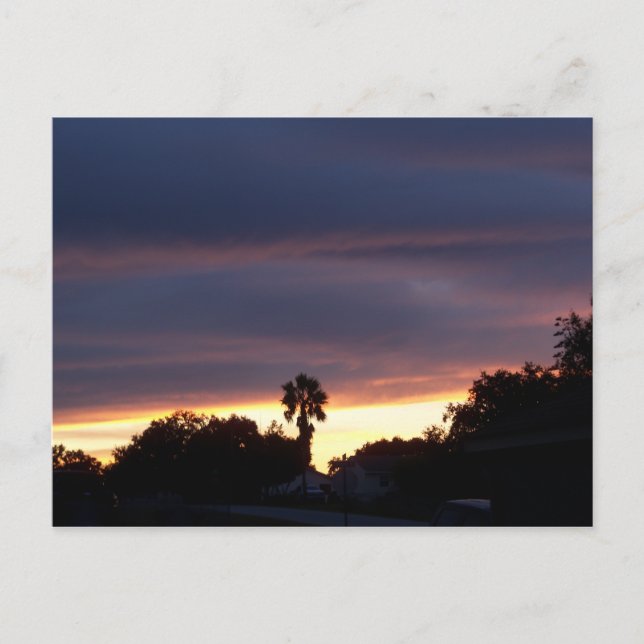 Dark sunset and a palm tree on a postcard (Front)