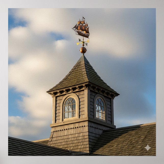 Dark Wood Cupola Poster (Front)